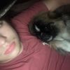 bubba_rigs