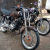japanesee54