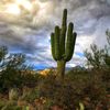 arizona_girl76