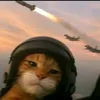 rafaelalbuquerque89