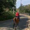 nathansantana463