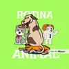 rotina.animall