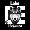 lobodeitaquera