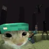 tutui_com_ovo