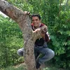 kapay86