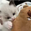 kkieu09