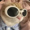 tuhuuynh