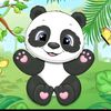 rayen.n20