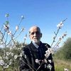 hemaden