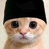 muhammadihwan760