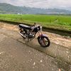 egifaisal2