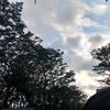 alxyrr_09