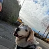 michael_2911