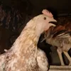 userkwenpge3vs