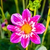 username2024uk