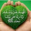 muhammadnaeem1500