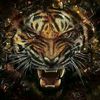 surendran788