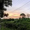 sy_ajaaya