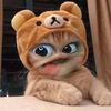 helloowyap