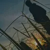 ravennid007