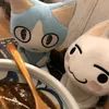 shamiiqt_