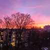 marcelmarc907