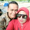 sholeh8636