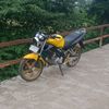 copet.com57