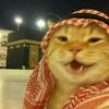ramadani8711