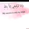 chfahim44