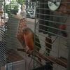 everybirdyhappy