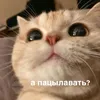 mikula69
