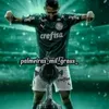 palmeiras_mil_graus