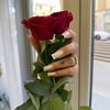 rr_nails_020383