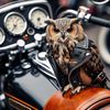 gideon_swart