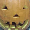 pumpkin3331