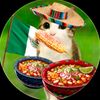 mi_gato_en_tanga
