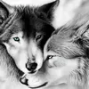 xxguardianwolfxx