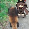 dimasturuygy