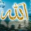 hosin._.mohamad