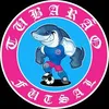 deco_tubarao