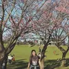 vanessacunha452
