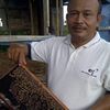suwarno4431