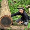 Wahyuandri