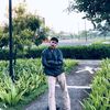 dekol.s