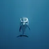 入鹿