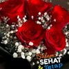 luthfi7656