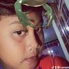cemplonz7