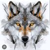 🐺 WOLF 🐺