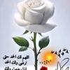 dy53vinxn8fs